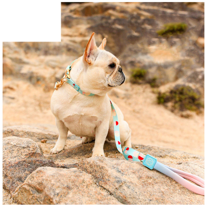 Fashion Y-Shaped Pet Chest Strap Harness With Leash