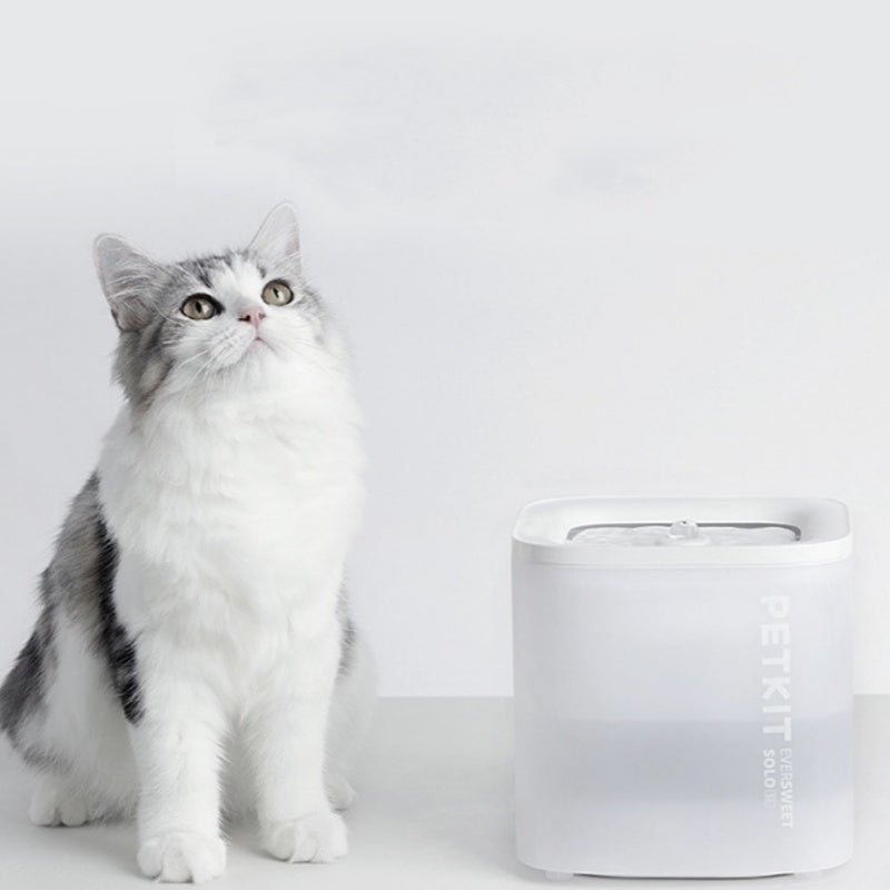 Smart Wireless Pet Water Dispenser With Loop Filter System