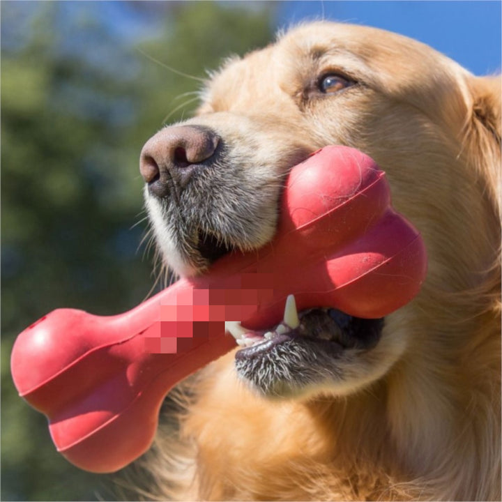 Bite-Resistant Rubber Pet Chew Toy For Teeth Grinding