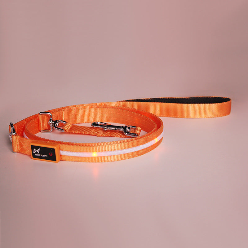 LED USB Rechargeable Luminous Pet Leash Safe Night Walking