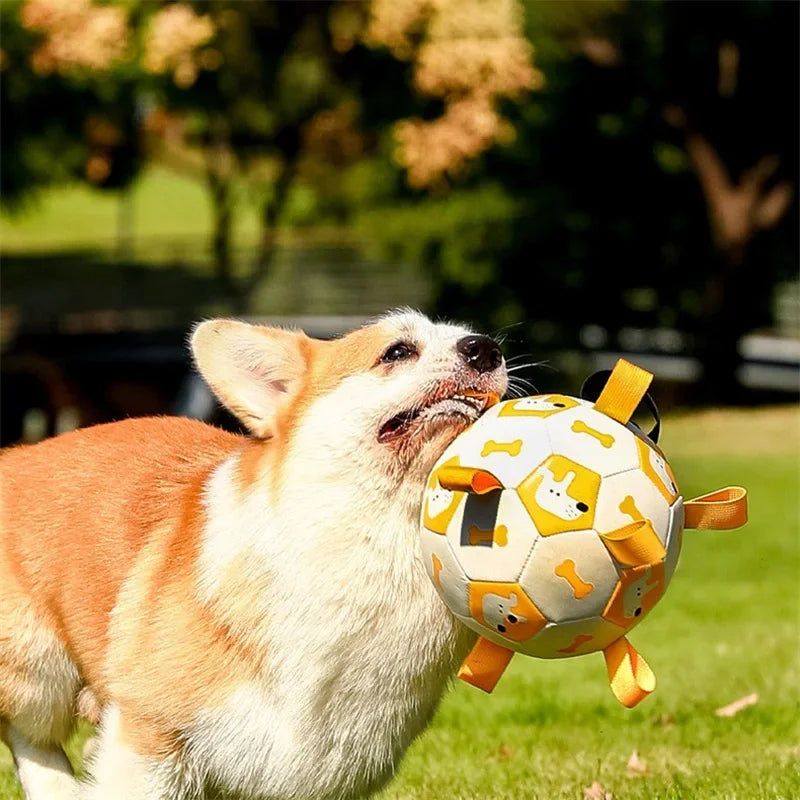 Interactive Dog Soccer Ball Toy For Outdoor Training And Chewing