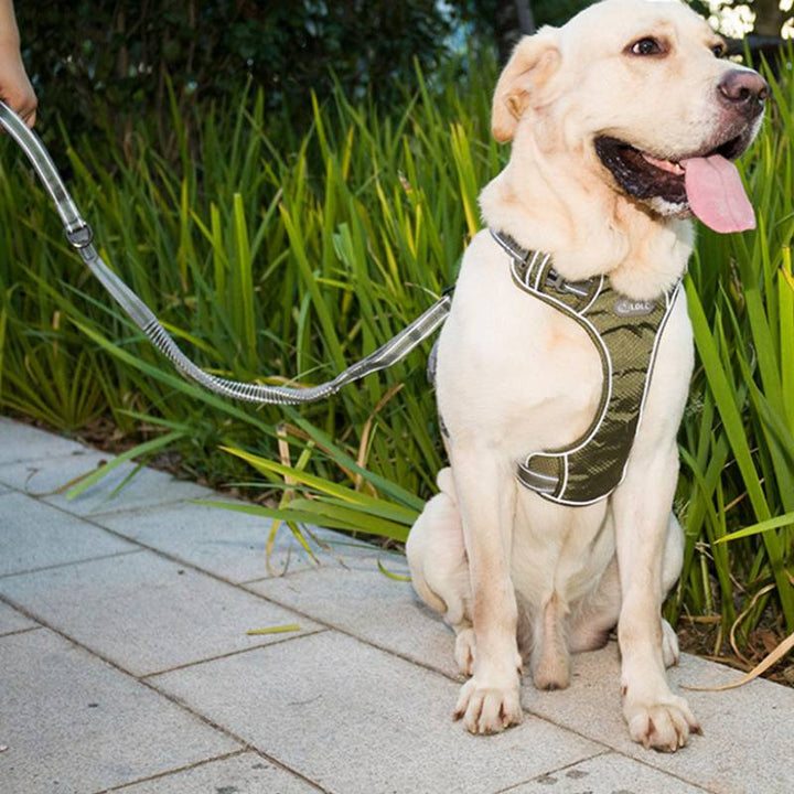 Fluorescent Elastic Retractable Pet Leash Durable Anti-Break Design