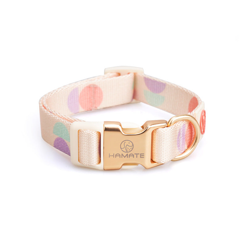 Fashion Y-Shaped Pet Chest Strap Harness With Leash