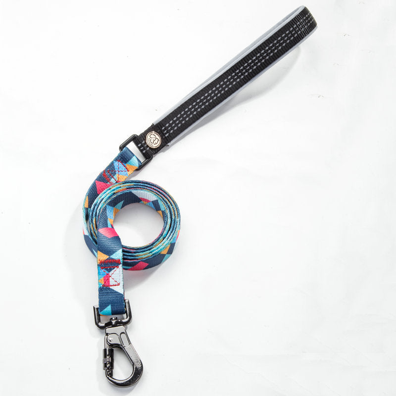 Adjustable Pet Leash And Collar Set