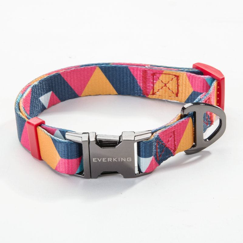 Adjustable Pet Leash And Collar Set