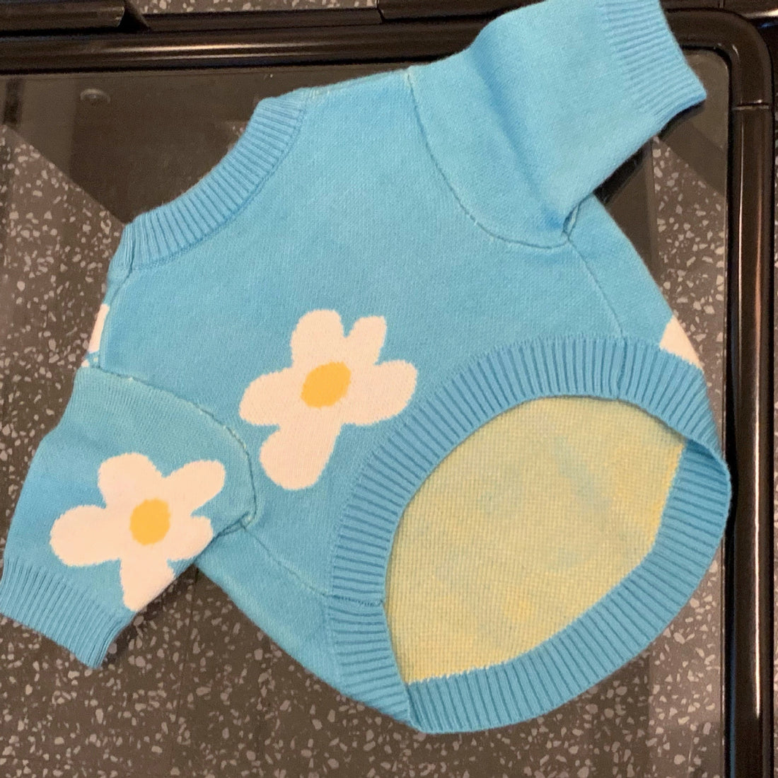 Pet Fashion Brand Protective Clothing Outfit For Pets