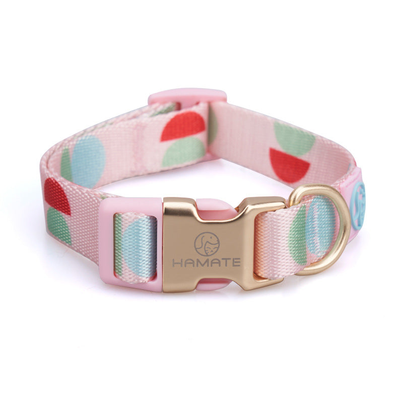 Fashion Y-Shaped Pet Chest Strap Harness With Leash