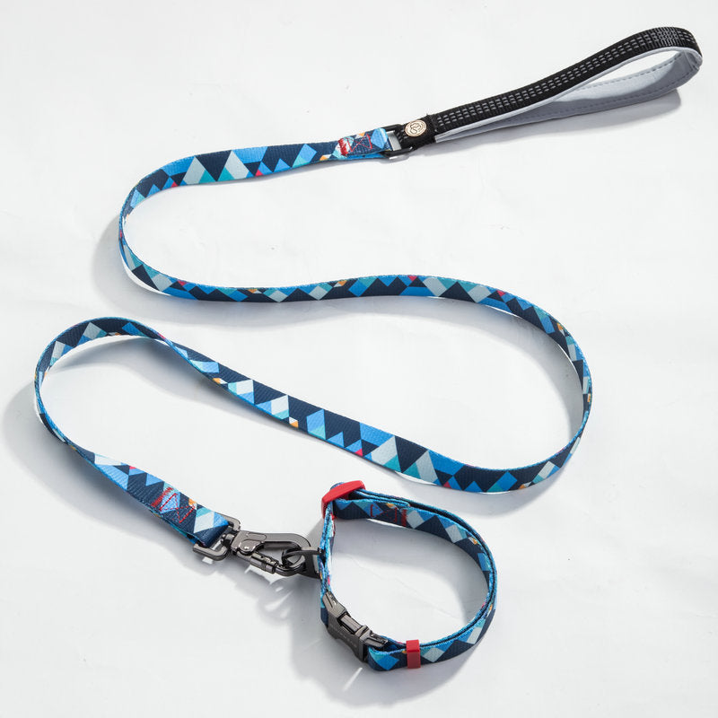 Adjustable Pet Leash And Collar Set