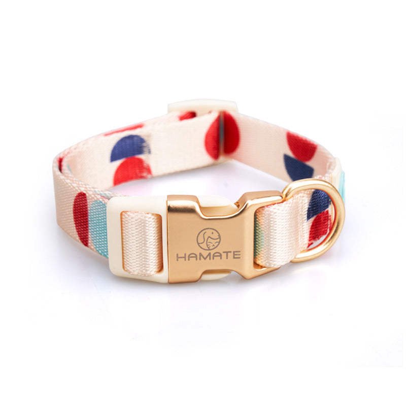 Fashion Y-Shaped Pet Chest Strap Harness With Leash
