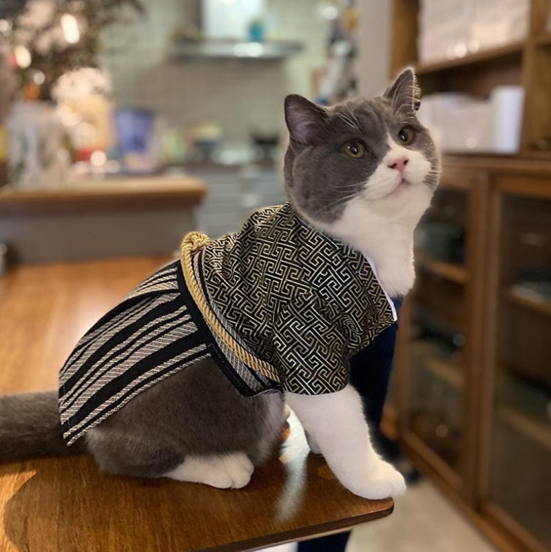 Samurai Style Pet Outfit Fashionable Clothing For Pets