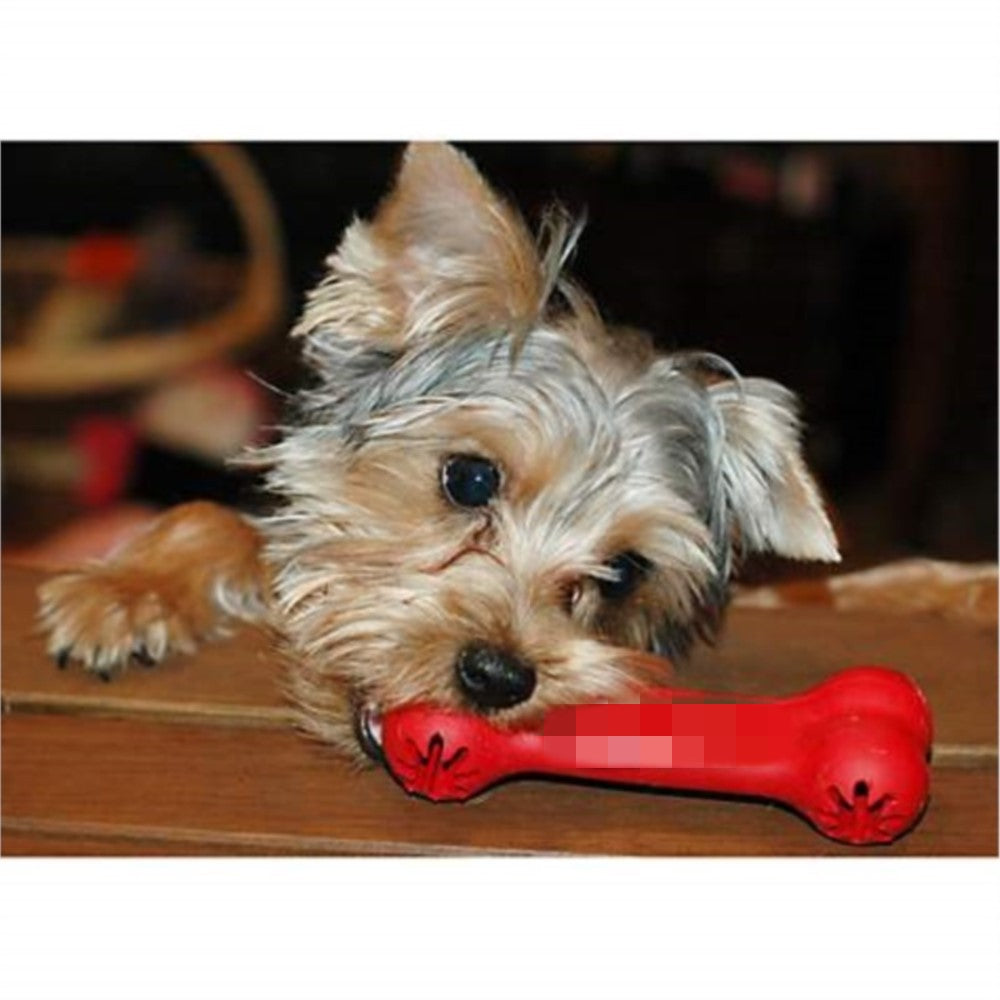 Bite-Resistant Rubber Pet Chew Toy For Teeth Grinding