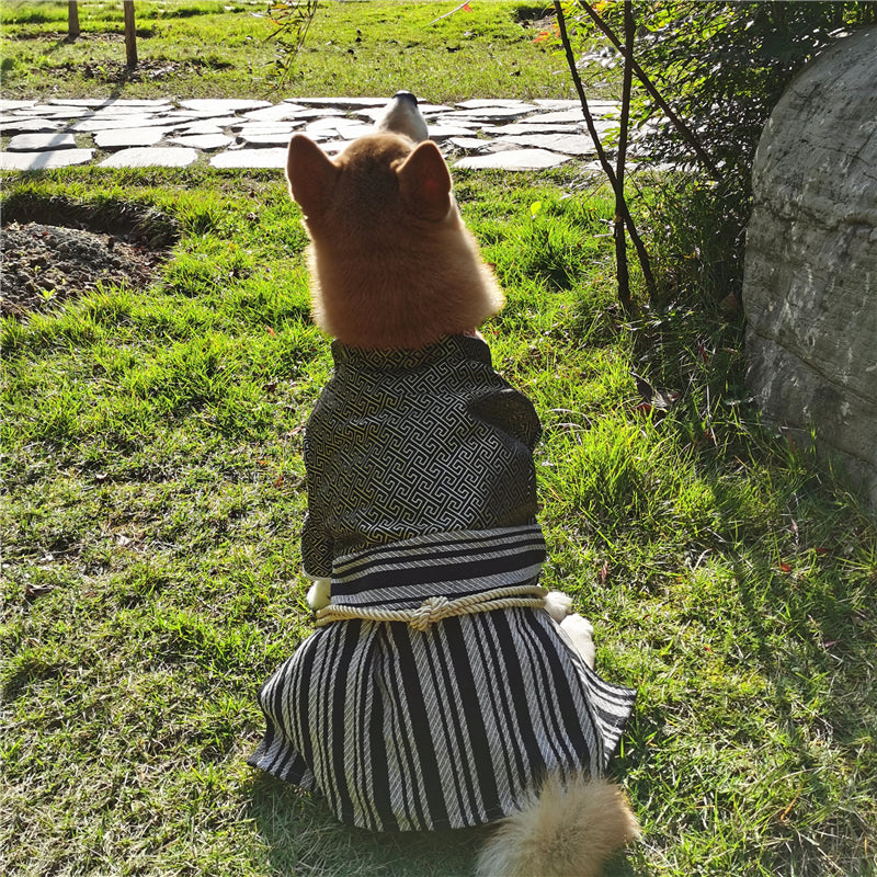 Samurai Style Pet Outfit Fashionable Clothing For Pets