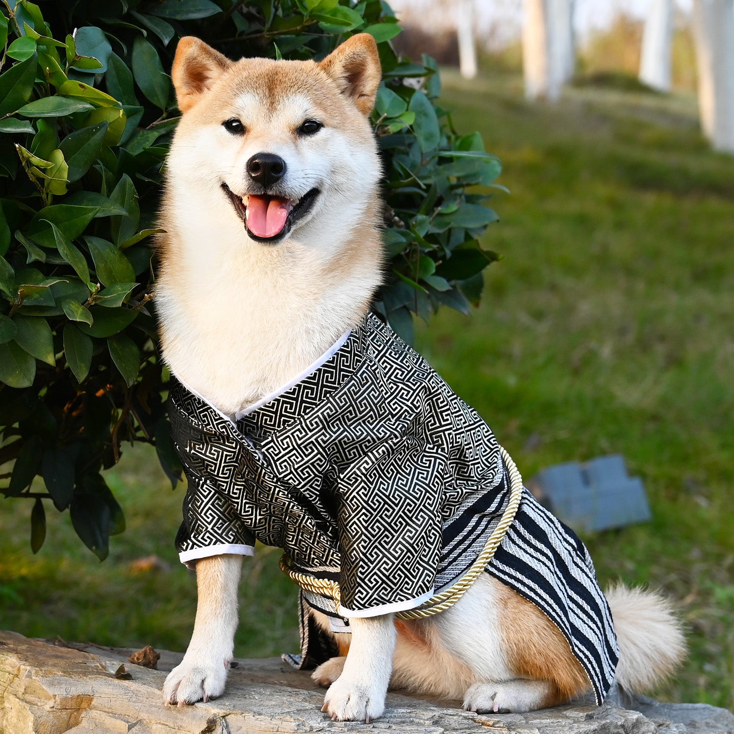 Samurai Style Pet Outfit Fashionable Clothing For Pets
