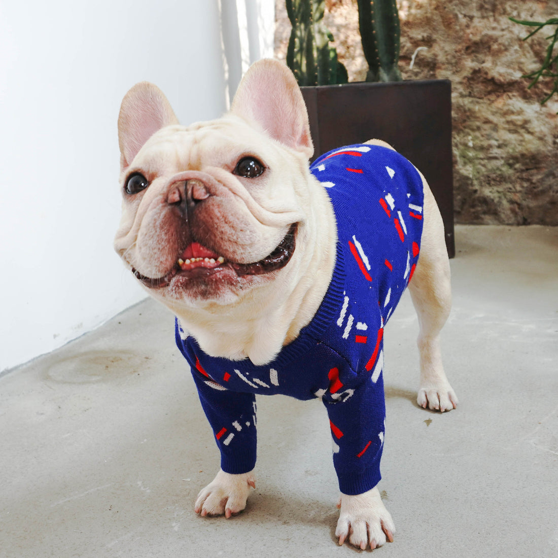 Pet Sweater Soft Comfortable Everyday Clothing For Pets