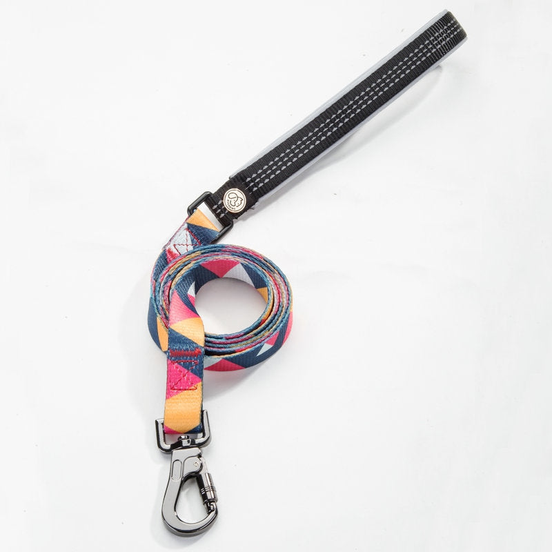 Adjustable Pet Leash And Collar Set