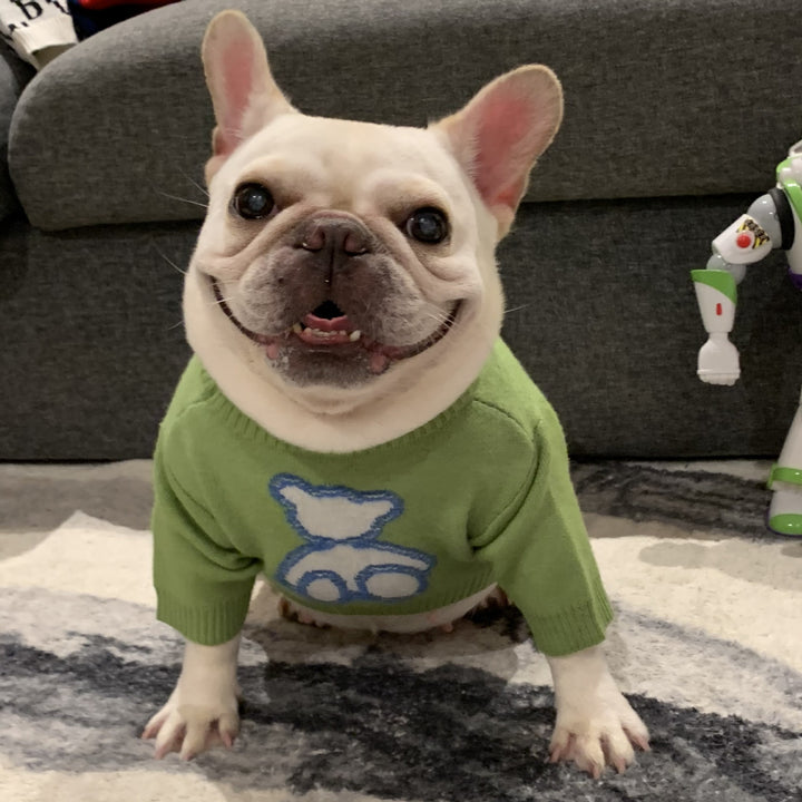 Fall Winter Pet Sweater Warm Comfortable Clothing For Pets