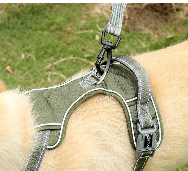 Fluorescent Elastic Retractable Pet Leash Durable Anti-Break Design