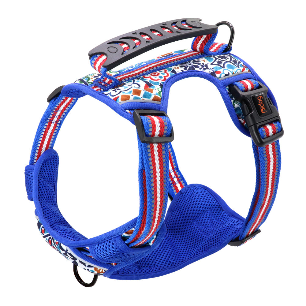 Adjustable Pet Leash With Chest Harness For All Sizes