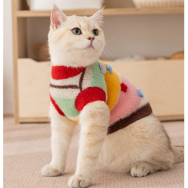 Autumn Winter Pet Cartoon Star Striped Matching Sweater Outfit