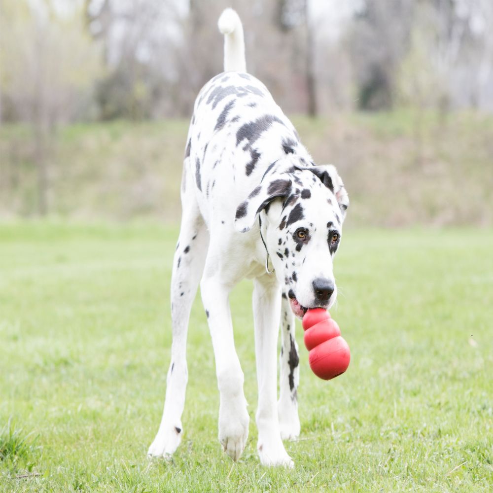 Bite-Resistant Rubber Pet Toy Gourd Shape With Food Dispensing Design
