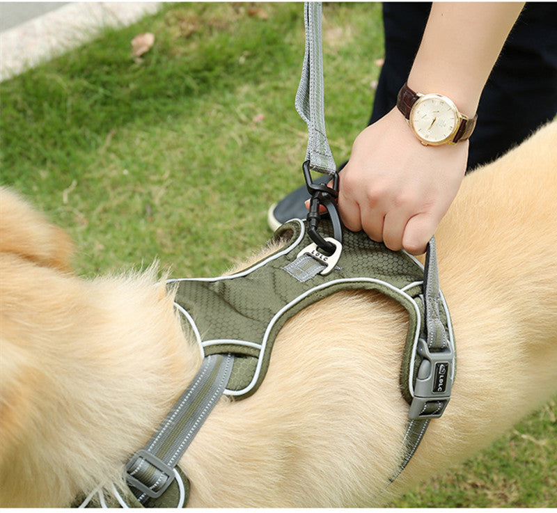Fluorescent Elastic Retractable Pet Leash Durable Anti-Break Design