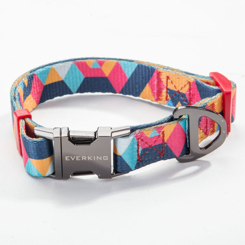 Adjustable Pet Leash And Collar Set