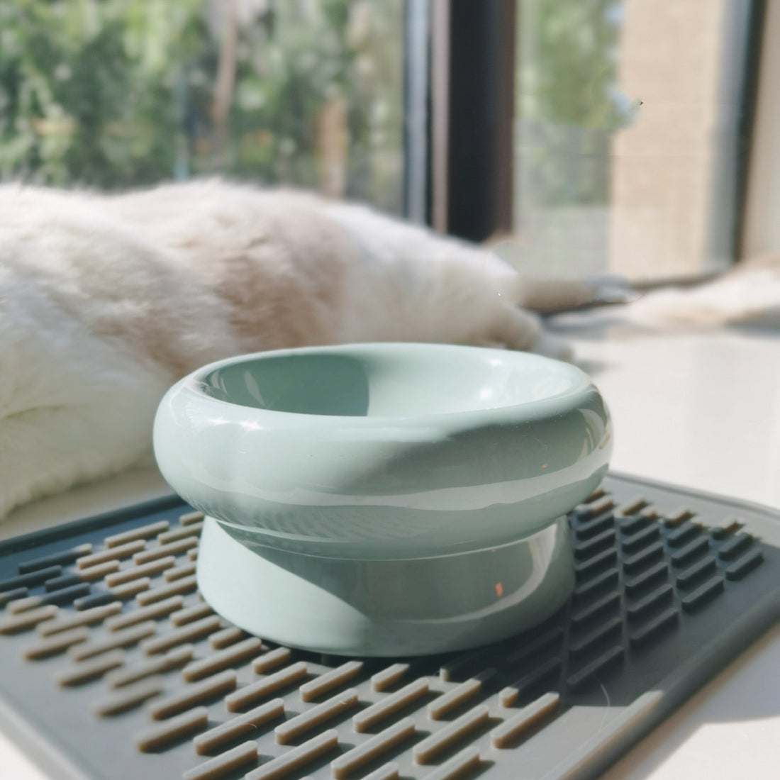 Simple Pet Ceramic Bowl Petal-Shaped Design