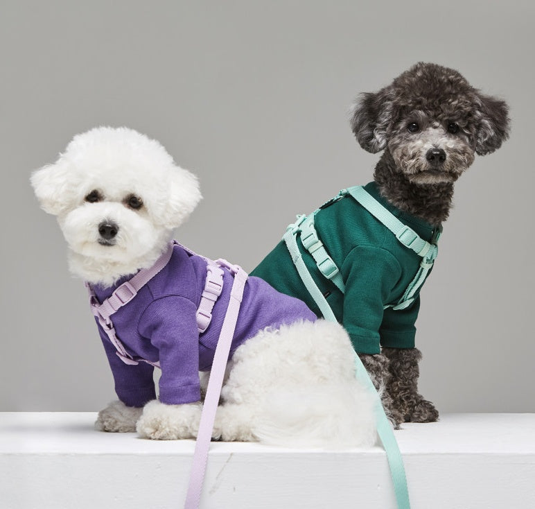 Macaron Style Pet Leash Lightweight Wind-Resistant Design