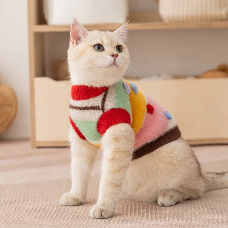 Autumn Winter Pet Cartoon Star Striped Matching Sweater Outfit