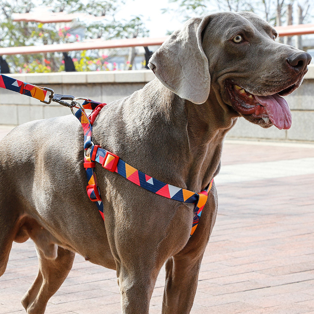 Adjustable Pet Leash And Collar Set