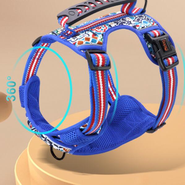 Adjustable Pet Leash With Chest Harness For All Sizes