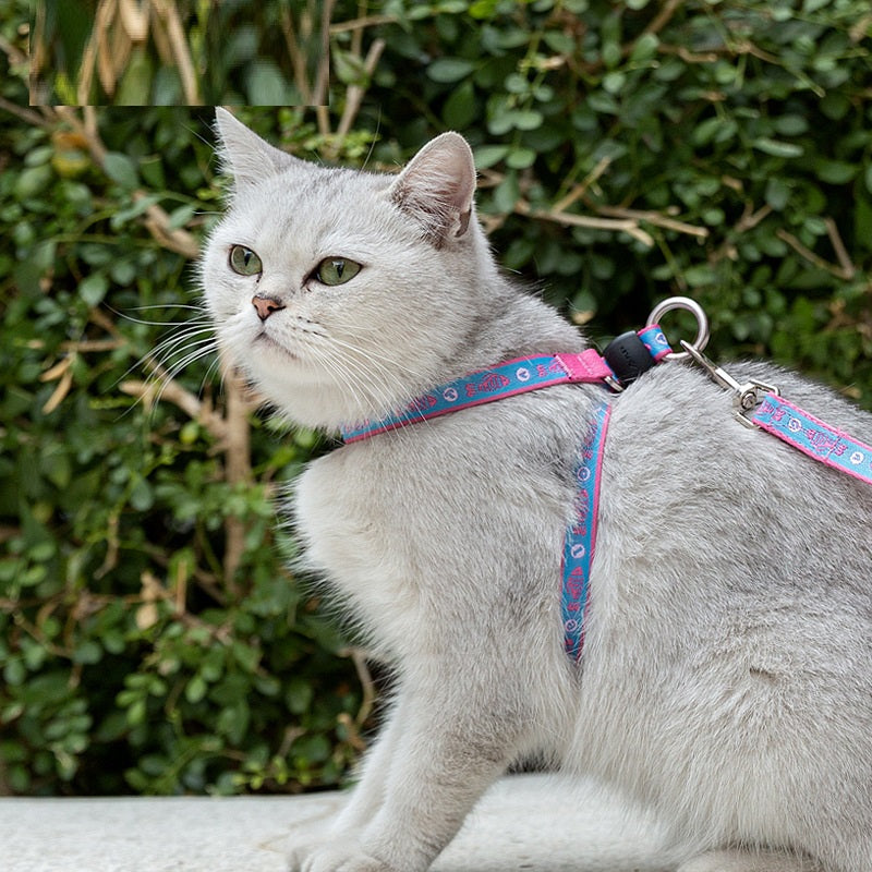 Pet Harness Vest With Bell And Chest Strap For Small Breeds