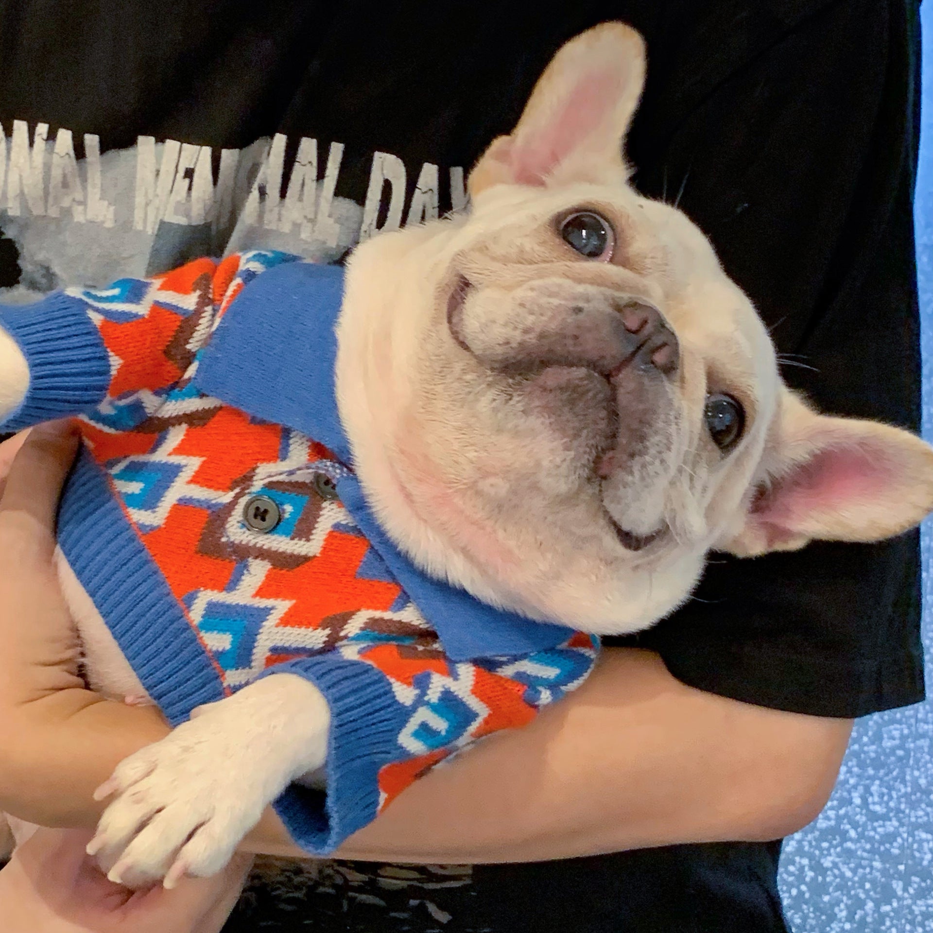 Pet Fashion Brand Stylish Clothing Outfit For Pets
