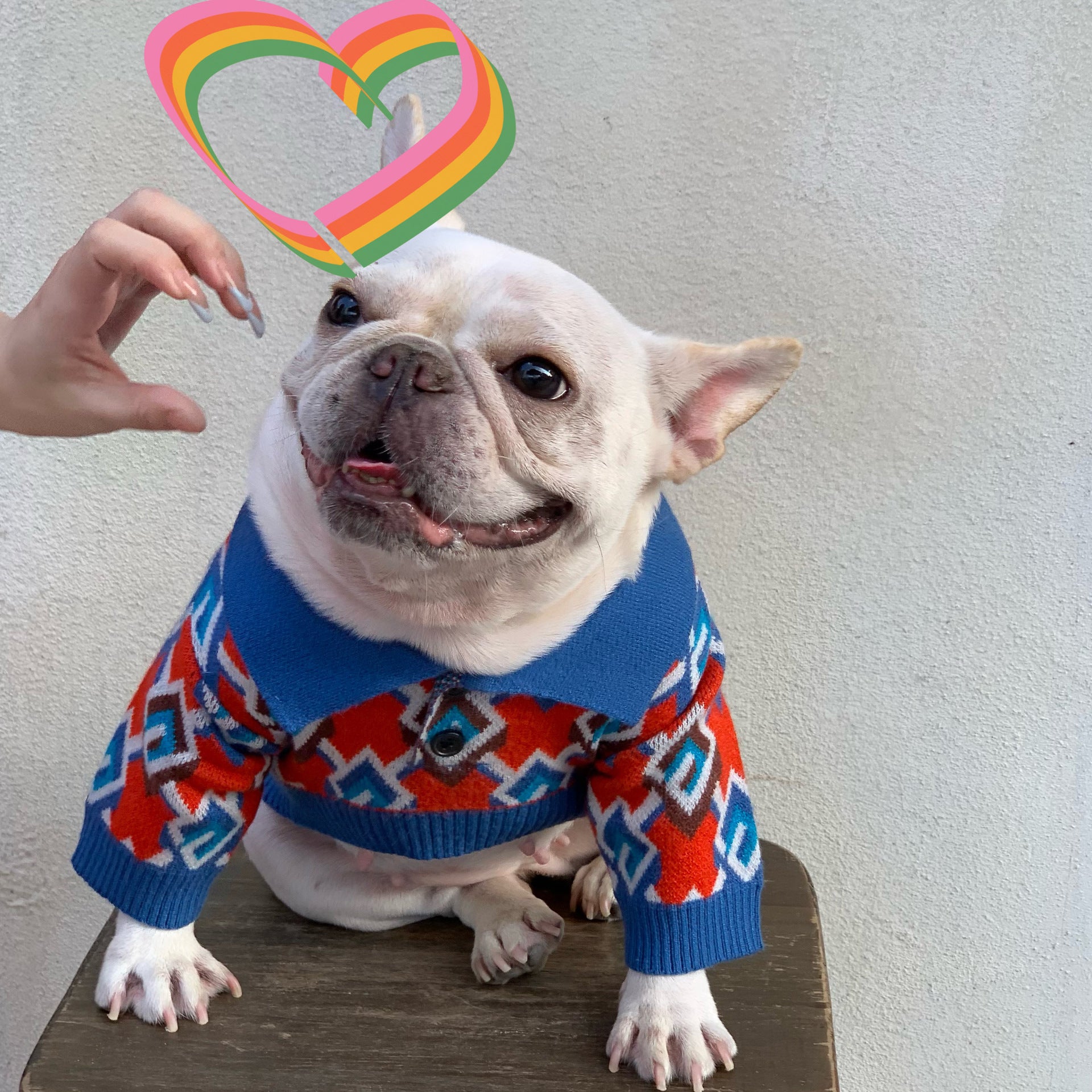 Pet Fashion Brand Stylish Clothing Outfit For Pets