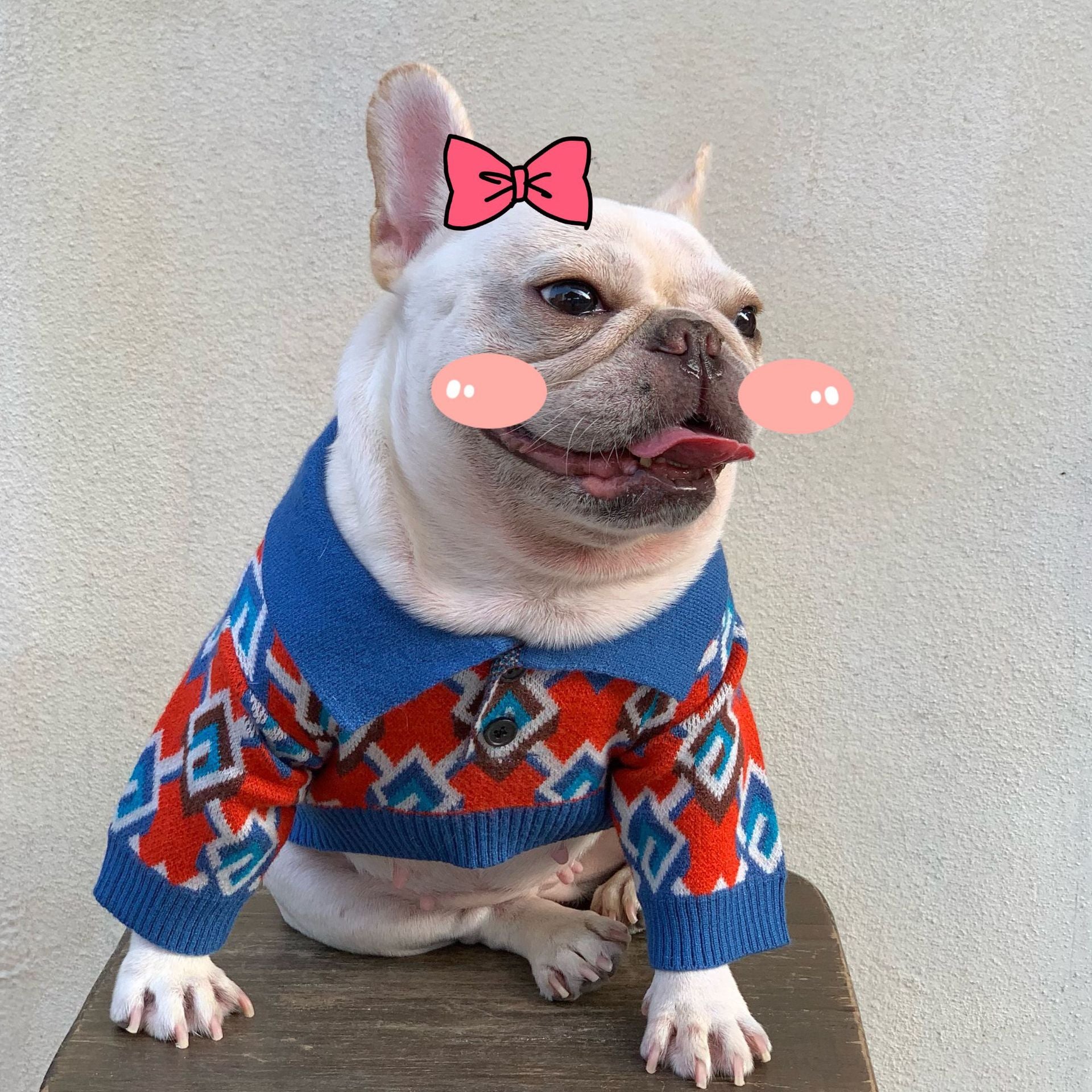 Pet Fashion Brand Stylish Clothing Outfit For Pets