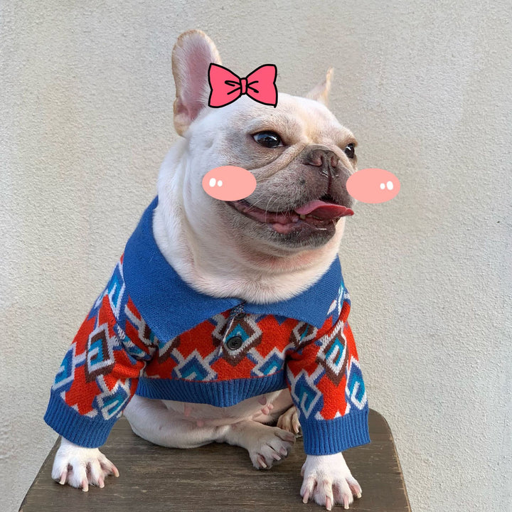 Pet Fashion Brand Stylish Clothing Outfit For Pets