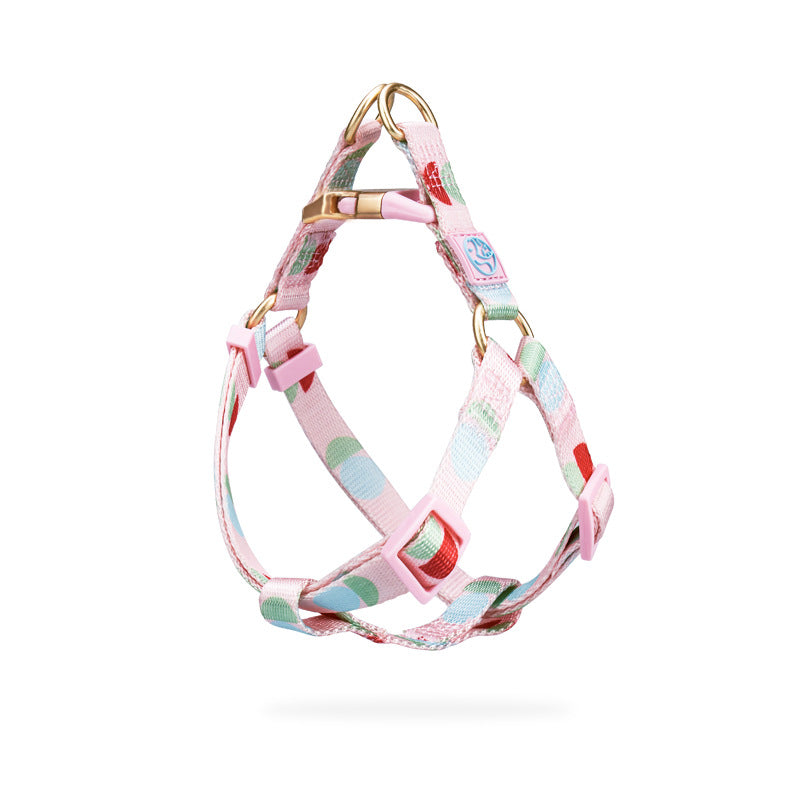 Fashion Y-Shaped Pet Chest Strap Harness With Leash
