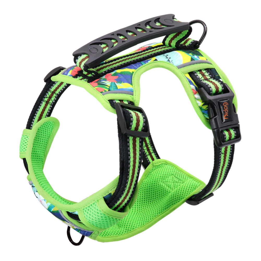 Adjustable Pet Leash With Chest Harness For All Sizes