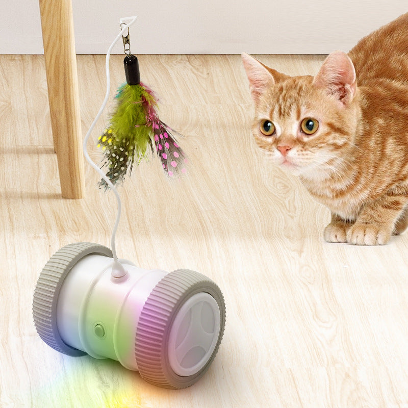 Automatic Multifunctional Electric Pet Roller Toy For Interactive Fun