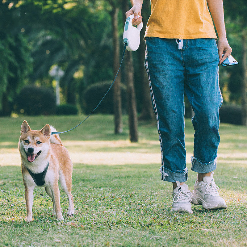 Retractable Pet Leash Adjustable For Small Medium And Large Breeds