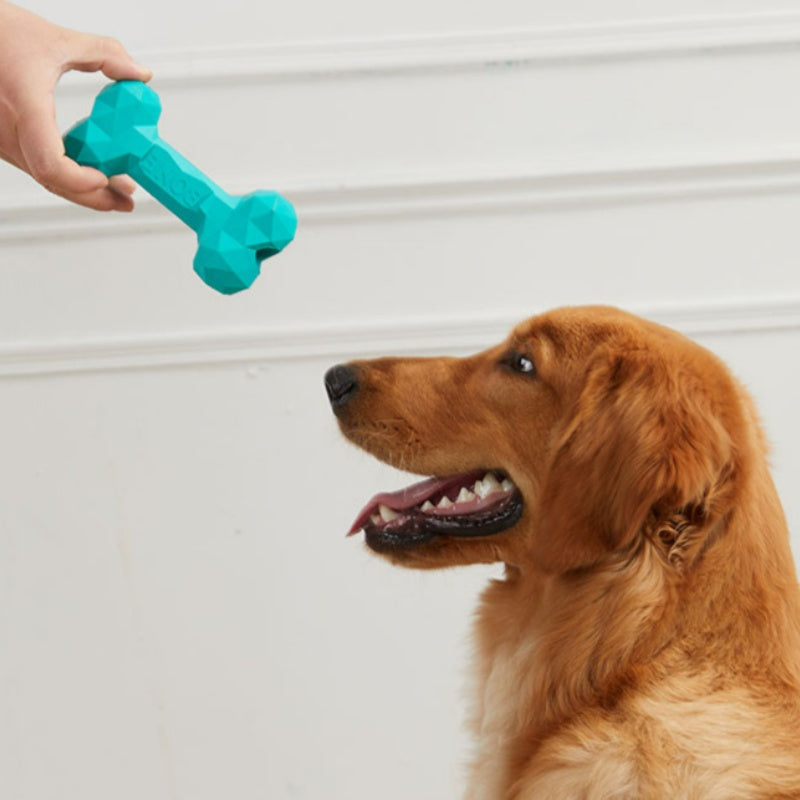Bite-Resistant Rubber Pet Bone Toy For Teeth Grinding