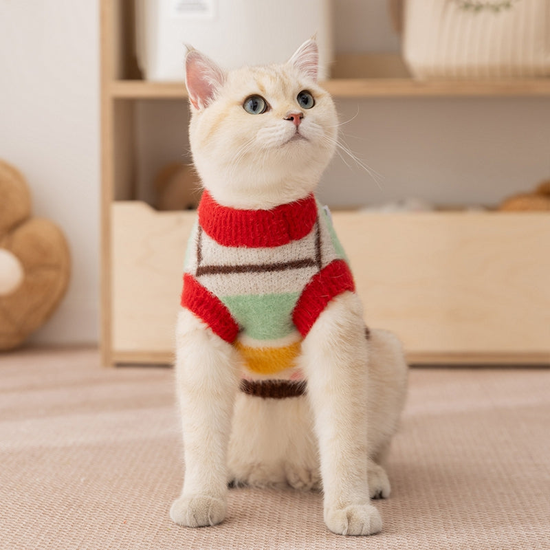 Autumn Winter Pet Cartoon Star Striped Matching Sweater Outfit