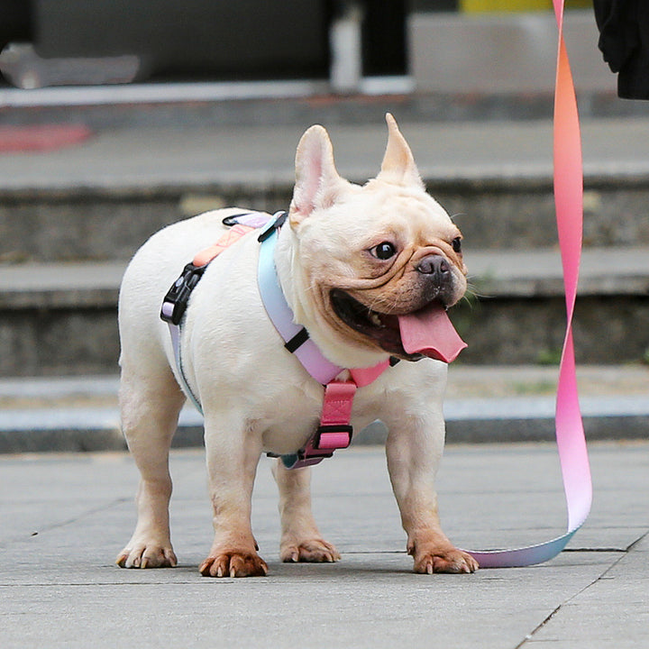 Adjustable Pet Leash For Small And Medium Breeds