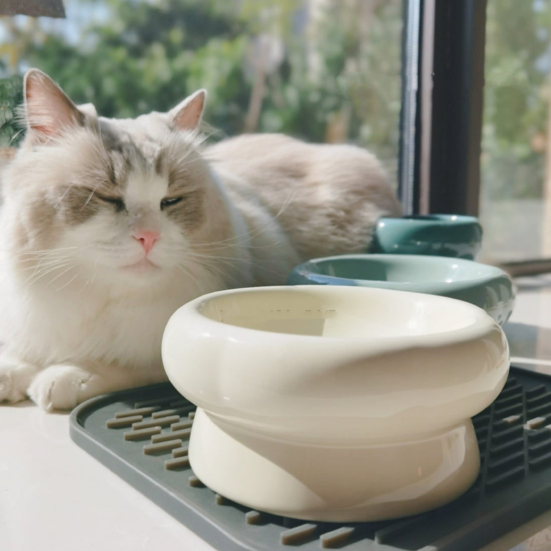 Simple Pet Ceramic Bowl Petal-Shaped Design