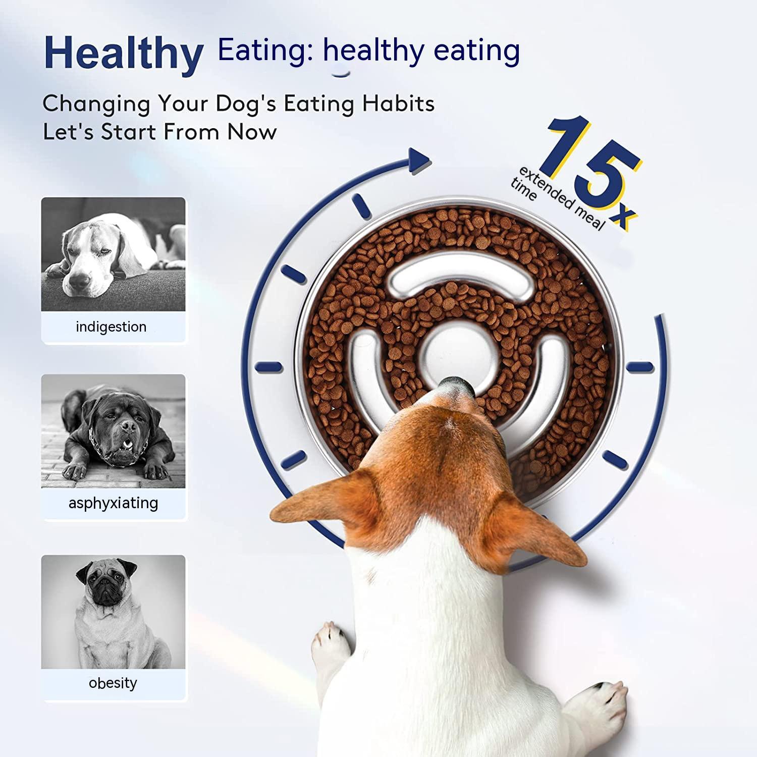 Pet Slow Feeding Bowl With Stainless Steel Neck Protection Guard