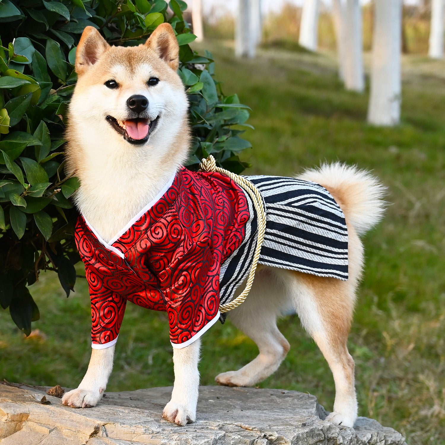 Samurai Style Pet Outfit Fashionable Clothing For Pets