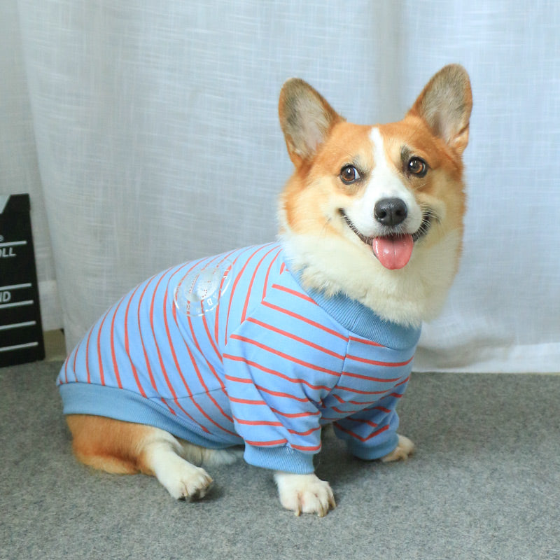 New Pet Sweater Matching Owner And Pet Outfit