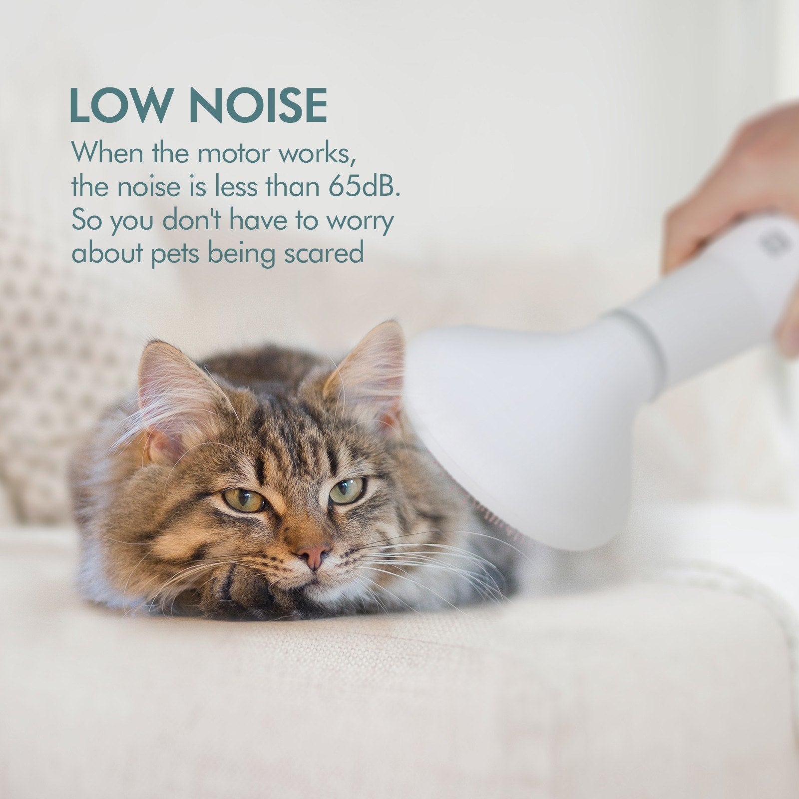 Pet Hair Dryer And Grooming Slicker Brush For Dogs