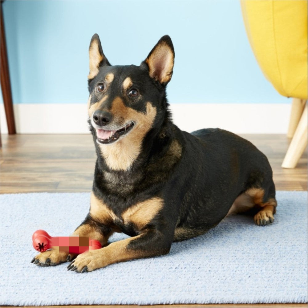 Bite-Resistant Rubber Pet Chew Toy For Teeth Grinding