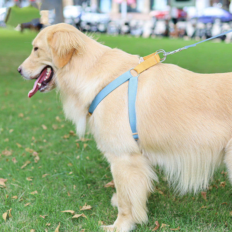 Colorful Pet Drawstring Vest Harness With Adjustable Leash